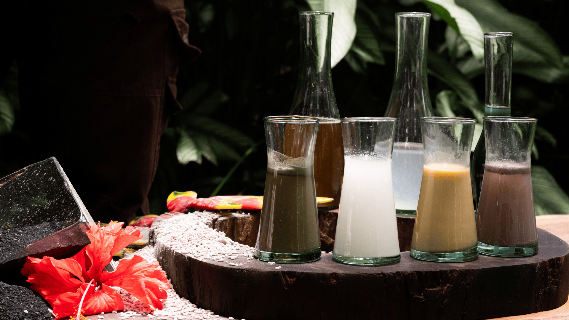 Sirius Bacter Premium