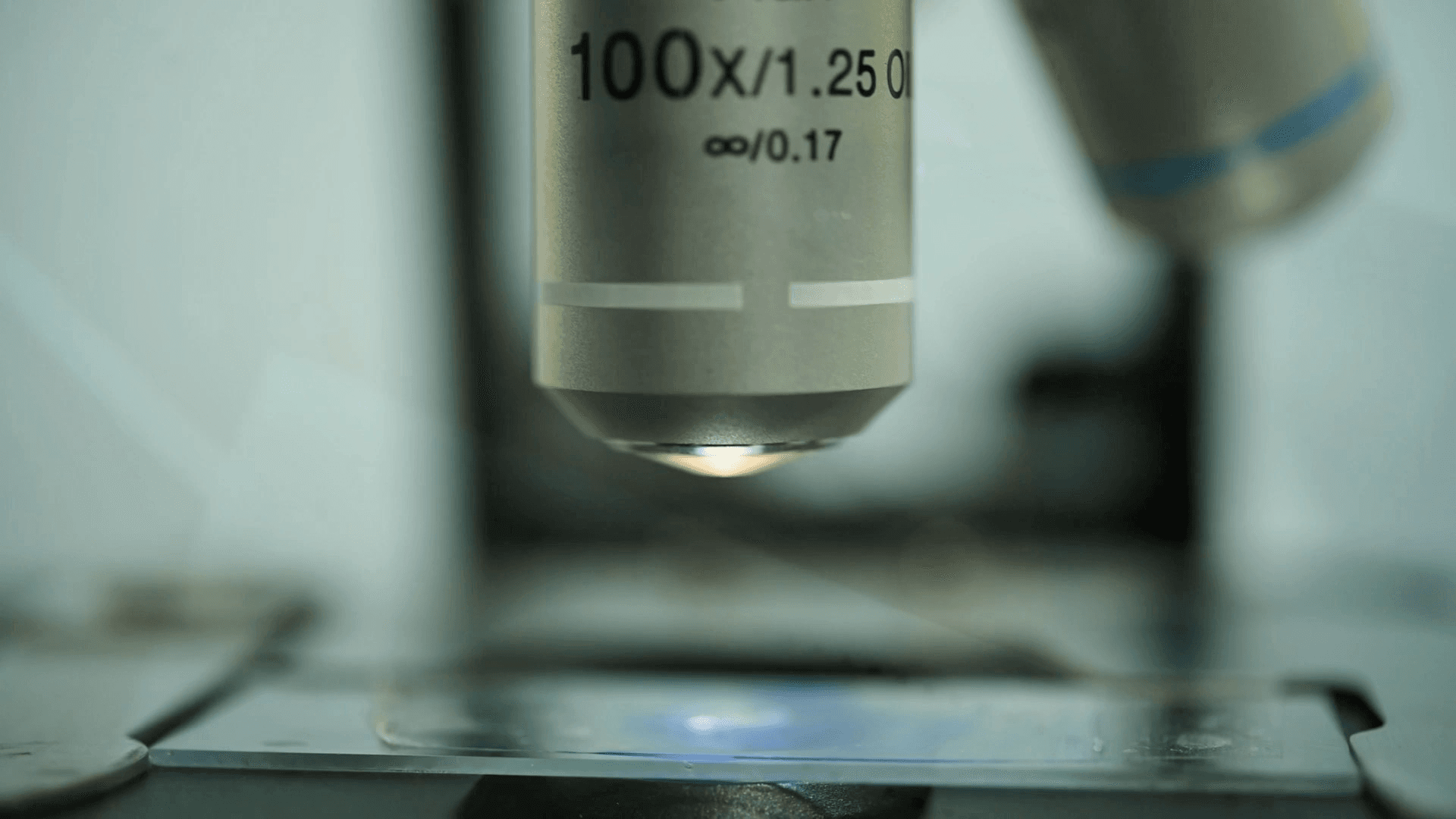 Formulación a la Medida