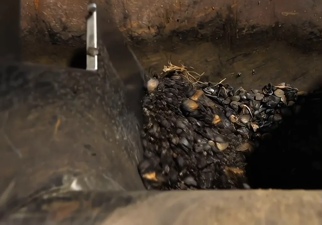Biochar saliendo del proceso de pirólisis
